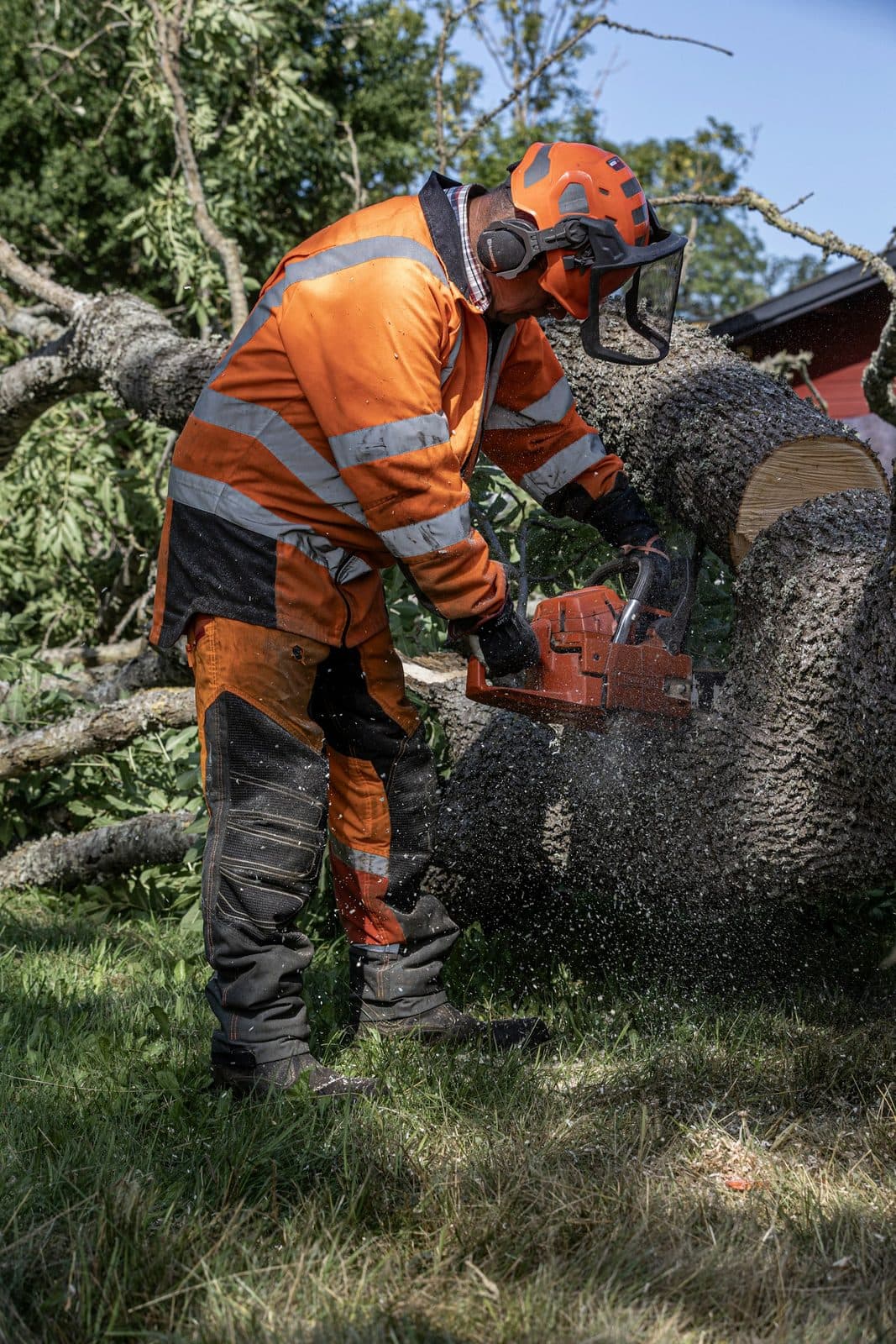 Démontage ou abattage