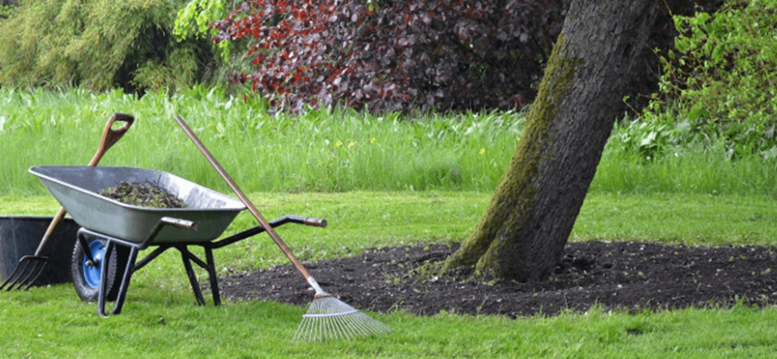 Remise en état de jardin